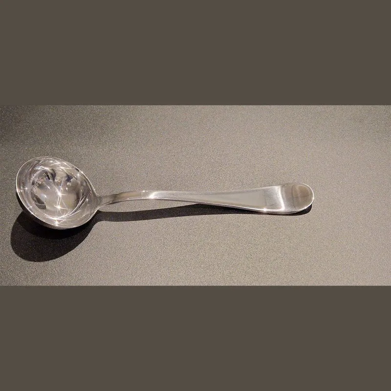 CARINZIA Cuillère à sauce inox Mepra   SC