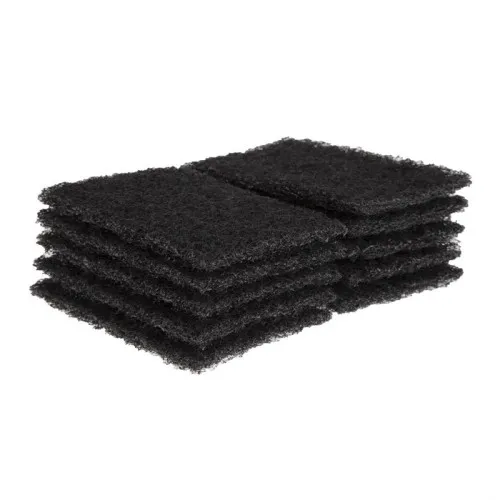 Tampons Abrasifs Plancha Lot de 10